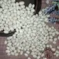 Куплю квасолю. Приймаю квасолю. Закупка квасолі - фото № 1