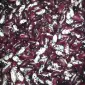 ПРОДАМ квасоля ластівка - фото № 1
