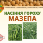 Насіння гороха безлисточкового короткостеблового сорту - фото № 1