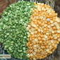 Куплю желтый и зеленый горох с самовывозом - фото № 1
