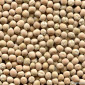 Закупаем желтый горох оптом - фото № 1