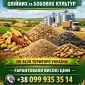 Купаем зерновые отходы и некондицию - фото № 1