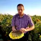 Сортовий соняшник Синельниківський УльтраРанній (СУР) - фото № 3