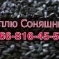 Купую соняшник від виробника за максимальними цінами - фото № 1