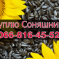 Куплю соняшник за високою ціною! Сушка та зберігання зернових - фото № 1