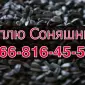 Закупівля соняшнику урожай 2024! Оплата на вагах - фото № 1