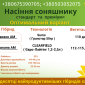 Насіння соняшника. Доступно для продажу - фото № 2