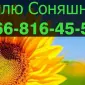 Ищу поставщика подсолнечника - фото № 1