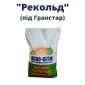 Насіння соняшника Рекольд під гранстар - фото № 1