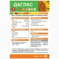 Насіння соняшнику гібрид ДАГЛАС в продажу - фото № 2