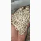 Продажа ядра семян подсолнечника на экспорт от производителя, от 20 тонн - фото № 4