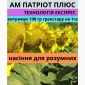 Насіння соняшника АМ Патріот плюс - фото № 1
