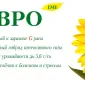 Продаж насіння соняшника Євро (100 дн) - стійкий до 7 рас заразихи - фото № 1