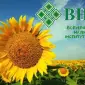 Ультра ранние семена подсолнечника от производителя - фото № 1