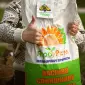 Насіння соняшнику Рекольд під гербіцид Гранстар - фото № 1