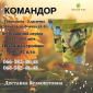 Насіння соняшника КОМАНДОР 777 (Стандарт)(Екстра) в продаже - фото № 1