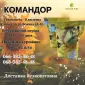 Насіння соняшника КОМАНДОР 777 (Стандарт)(Екстра) в продаже - фото № 1
