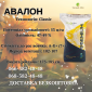 Насіння соняшнику Авалон 7+ (NS 6046) – гібрид для продажі - фото № 1