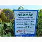 Семена подсолнечника Неймар A-G. Гибрид подсолнечника Неймар 43ц/га - фото № 1