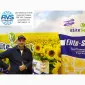 Семена ЕС Саксон под Гранстар. Гибрид подсолнечника ЕС Саксон A-G. Стандарт фракция - фото № 3
