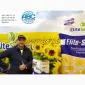 Семена ЕС Саксон под Гранстар. Гибрид подсолнечника ЕС Саксон A-G. Стандарт фракция - фото № 5