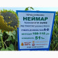 Неймар під гранстар. Гібрид Неймар 43ц/га. Соняшник Неймар вовчок раси A-G - фото № 1