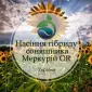 Подсолнух МЕРКУРИЙ ОР (Екстра) соняшник Меркурій ОР - фото № 3