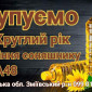 Покупаем опт семечку подсолнуха 8/3/48 - фото № 1