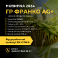 Насіння соняшника під гранстар гібрид ГР Франко (105-110дн) Ціна від 3300грн/п.о - фото № 1