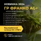 Насіння соняшника під гранстар гібрид ГР Франко (105-110дн) Ціна від 3300грн/п.о - фото № 1