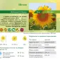 Тільки до кінця локдауну знижка на насіння соняшника 10% - фото № 3
