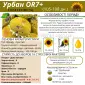 10% на посівний матеріал соняшника - фото № 2