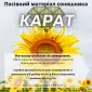 Насіння соняшника гібрид Карат(SU)- стійкий до вилягання та посухи - фото № 1