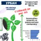 Новинка!!! Насіння Соняшника Гібрид - УРБАН OR7 (SU) - фото № 2