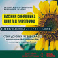 Новинка!!! Насіння Соняшника Гібрид - УРБАН OR7 (SU) - фото № 1