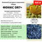НОВИНКА!!! Гібрид ФЕНІКС - посівний матеріал соняшника під гранстар - фото № 2