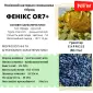 НОВИНКА!!! Гібрид ФЕНІКС - посівний матеріал соняшника під гранстар - фото № 2