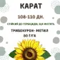 Посівний матеріал соняшника. Гібрид КАРАТ (108-110дн.) - фото № 2