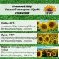 Новинки 2023! Посівний матеріал гібридів соняшника - фото № 3