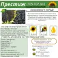 Посівний матеріал соняшника та кукурудзи - фото № 10