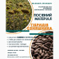 Посівний матеріал соняшника та кукурудзи - фото № 1