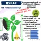 Посівний матеріал соняшника та кукурудзи - фото № 2