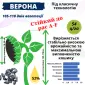 Посівний матеріал соняшника та кукурудзи - фото № 3