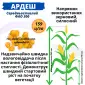 Посівний матеріал соняшника та кукурудзи - фото № 4