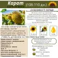 Посівний матеріал соняшника та кукурудзи - фото № 8