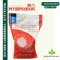 Насіння соняшника під гранстар 50 гр/га - фото № 1
