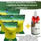 Соняшник під гранстар гібрид - УРБАН OR7(110дн) - фото № 7