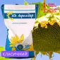 Насіння СОНЯШНИКА за цінами від виробника - фото № 8