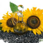 Куплю Подсолнечник.Соняшник - фото № 1
