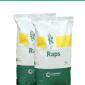 Насіння озимого ріпаку Мемфіс - гібрид від Виробника "Заатбау" - фото № 1